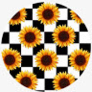 Meet your Posher, Sofia